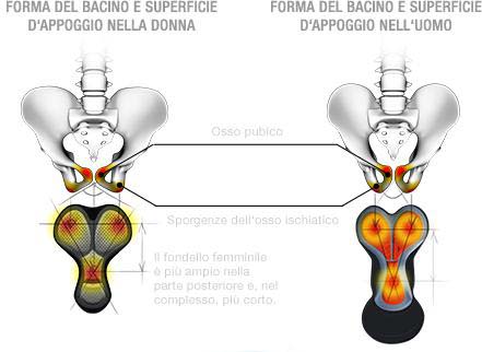 Superticie appoggio ossa ischiatiche